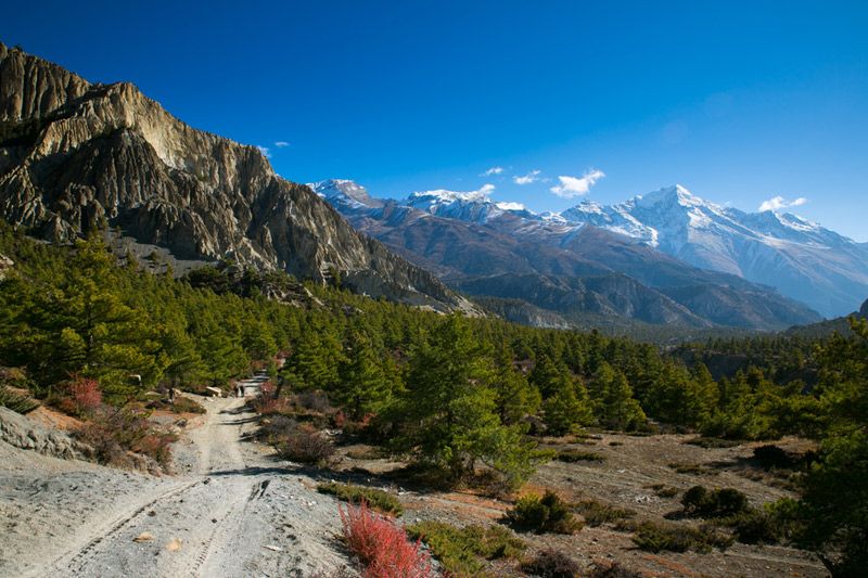 Annapurna Sanctuary Trek