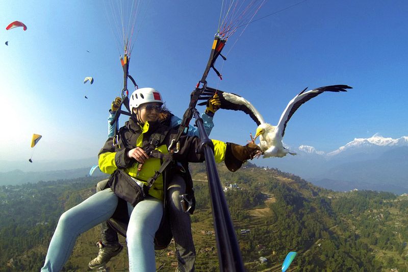 Parahawking in Nepal